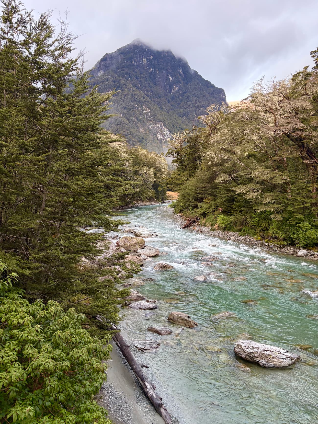 Suspension bridge crossing over a green-blue river on the Routeburn Track