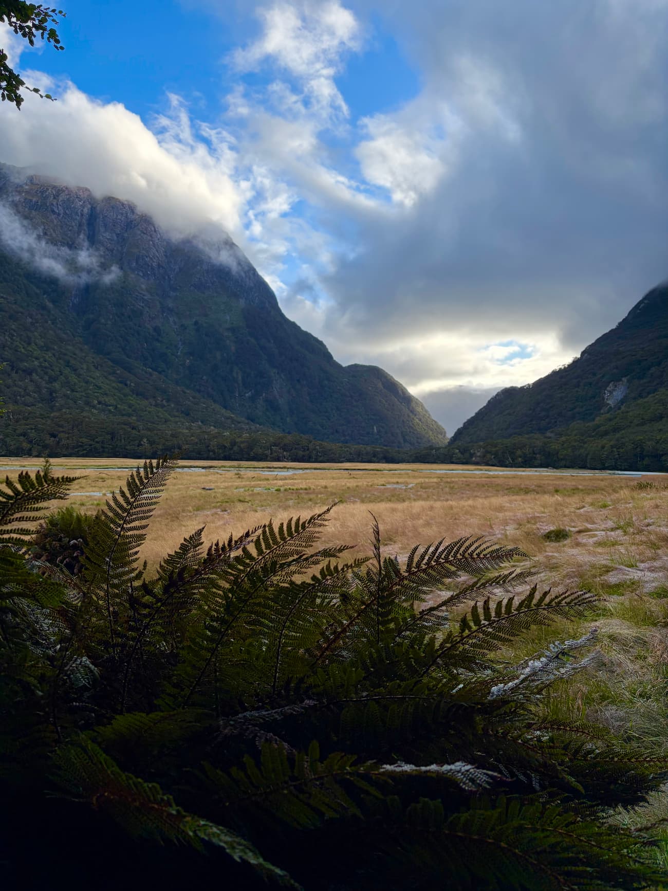 Routeburn River winding through a wide valley under cloudy skies