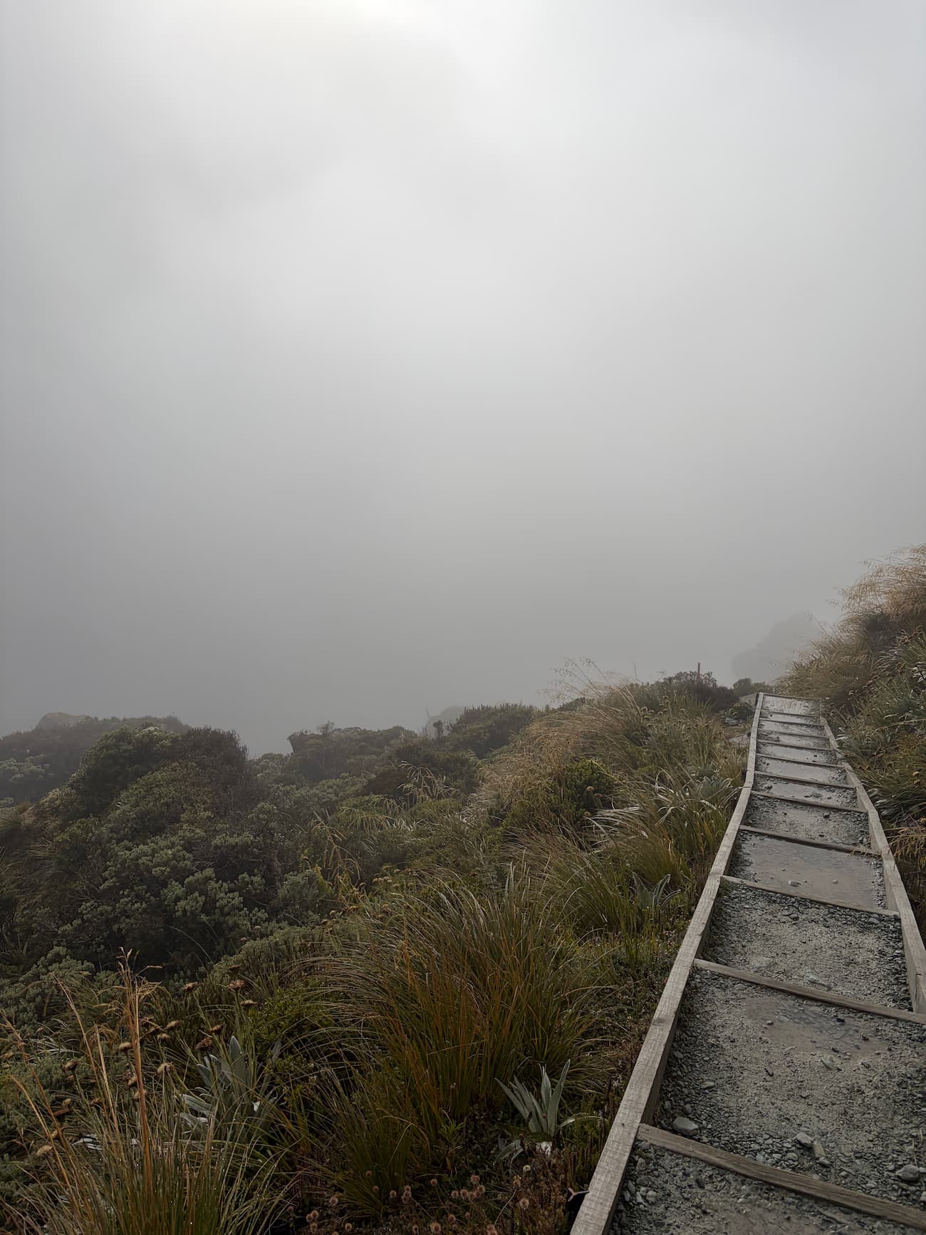 Foggy alpine trail near Harris Saddle on the Routeburn Track