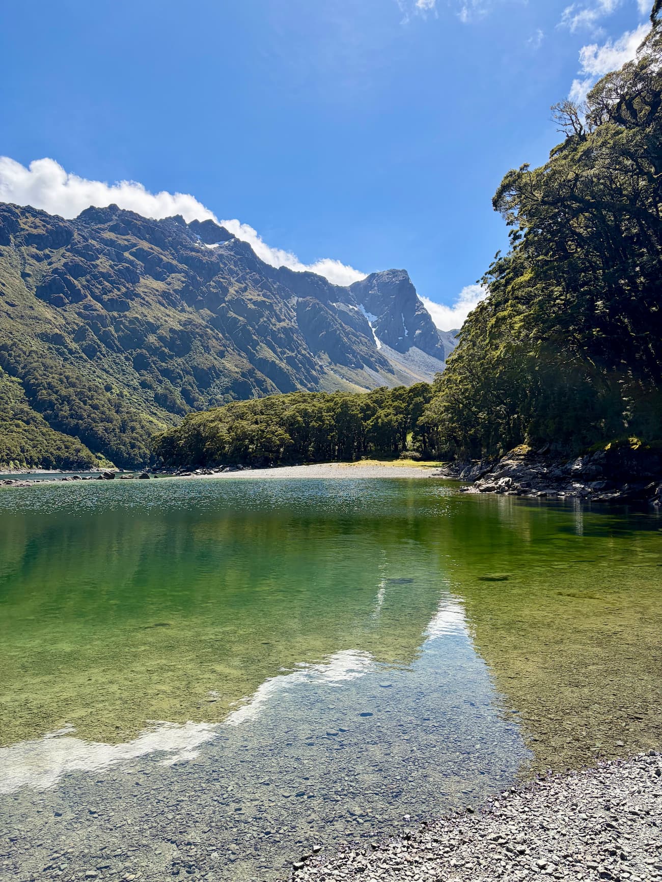 Sunny shoreline of Lake Mackenzie on the Routeburn Track