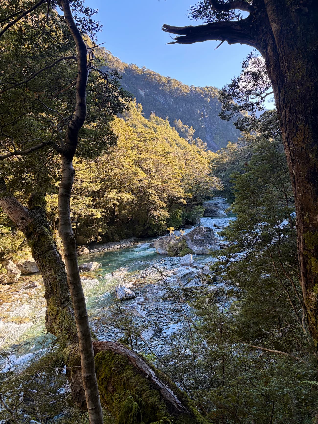 Routeburn River in late afternoon light on the return to Routeburn Shelter