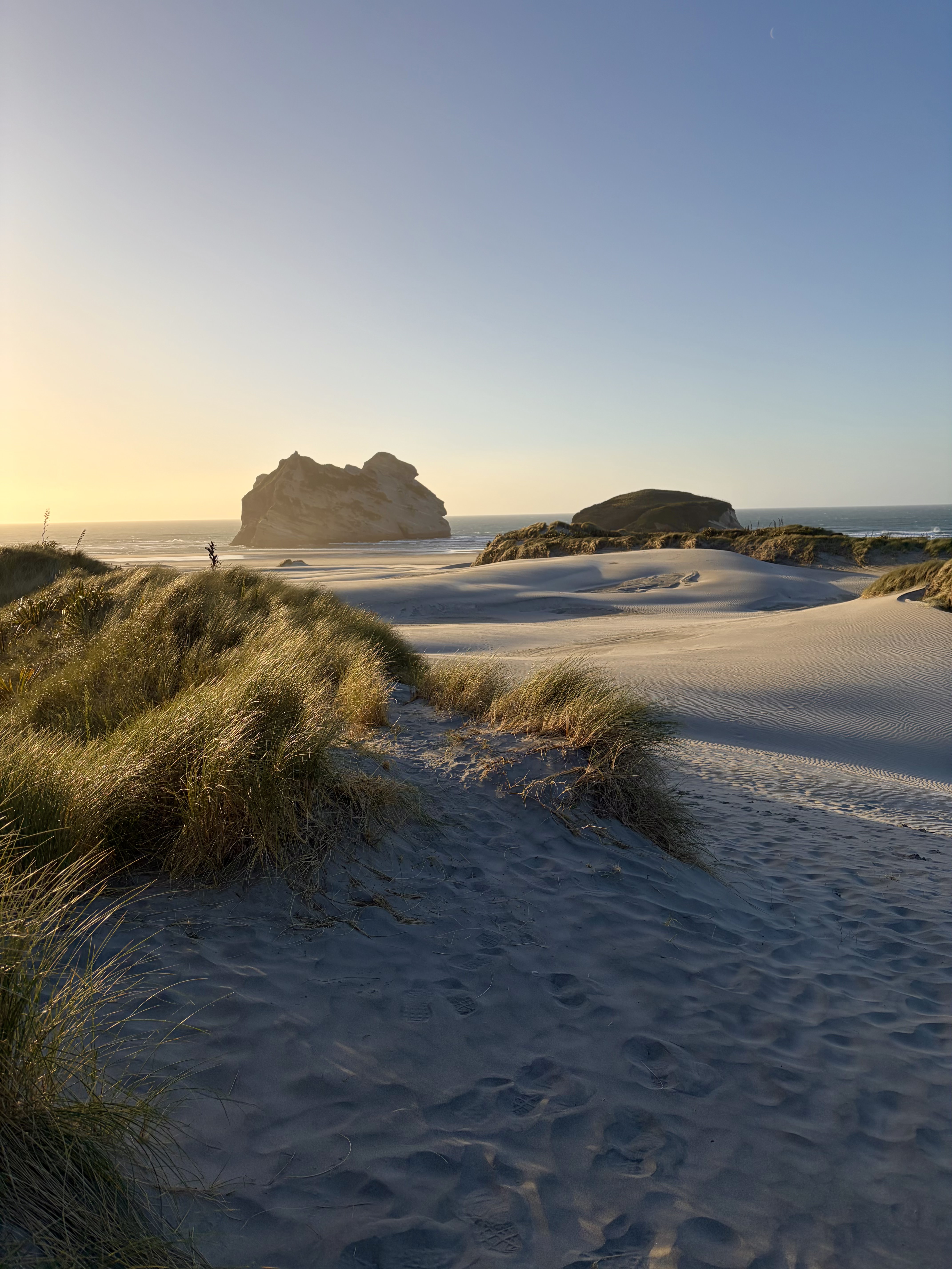 Sea stacks in the distance at Wharariki Beach with golden light